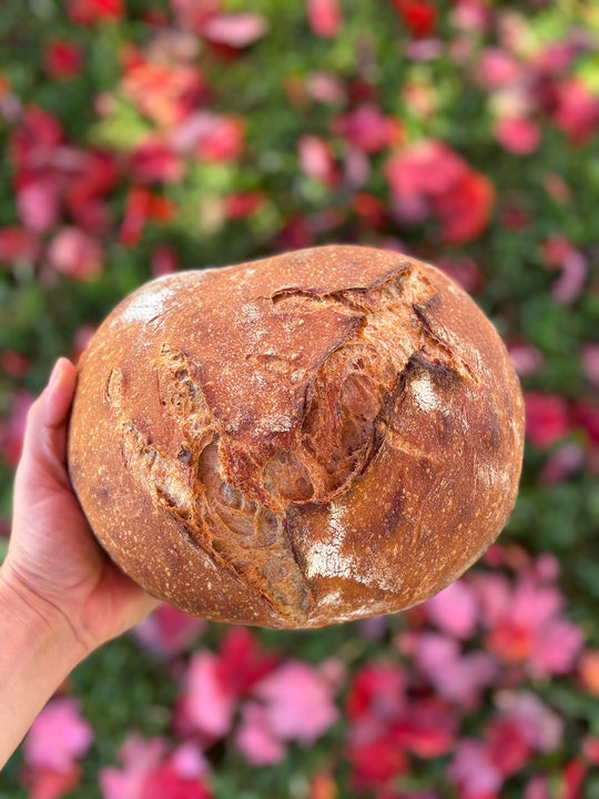 PLOUGHGATE RECIPE: SOURDOUGH BREAD